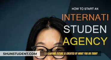 Launching an International Student Agency: Steps to Success