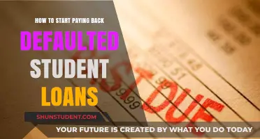 Rebuilding Credit: A Guide to Repaying Defaulted Student Loans
