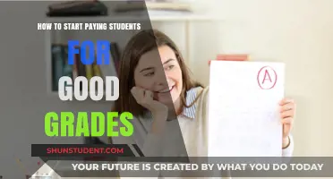 Incentivizing Academic Excellence: Strategies for Paying Students for Good Grades