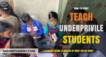 Empowering Futures: A Guide to Teaching Underprivileged Students Effectively