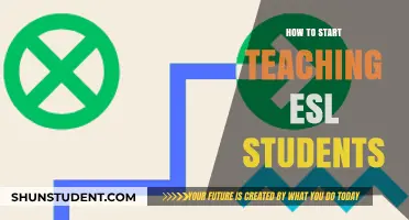 Effective Strategies for Teaching ESL Students: A Beginner's Guide