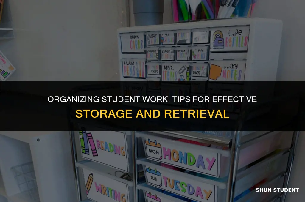 how to store student work
