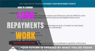 Decoding Student Loan Repayments: A Comprehensive Guide