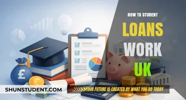 Understanding UK Student Loans: A Comprehensive Guide for Borrowers