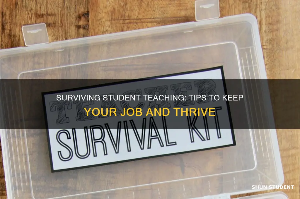 how to student teach and not lose my job