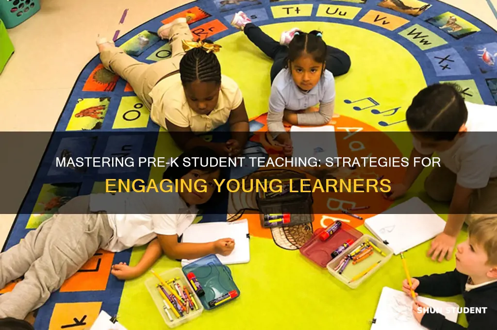 how to student teach in a pre k classroom