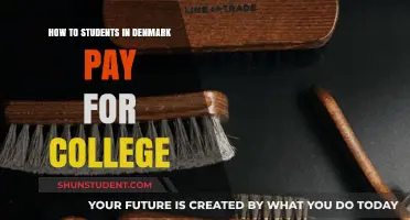Denmark's Tuition-Free Education: How Students Manage College Costs