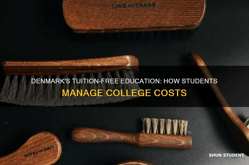 how to students in denmark pay for college