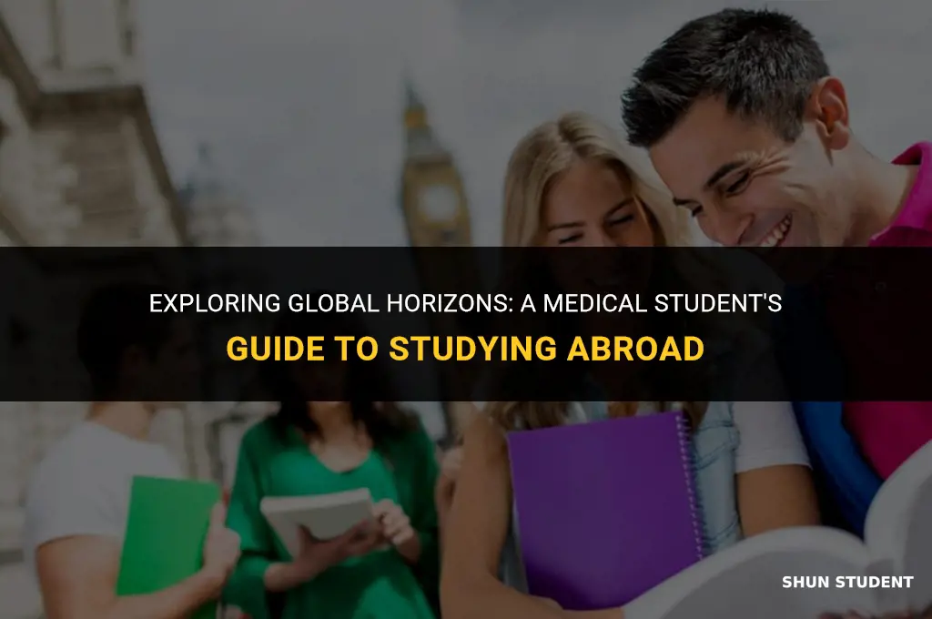 how to study abroad as a medical student
