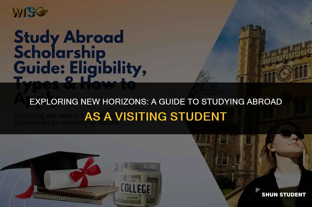 how to study abroad as a visiting student