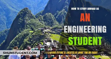Engineering Dreams Abroad: A Guide to International Studies