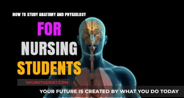 Mastering Anatomy and Physiology: A Nursing Student's Guide