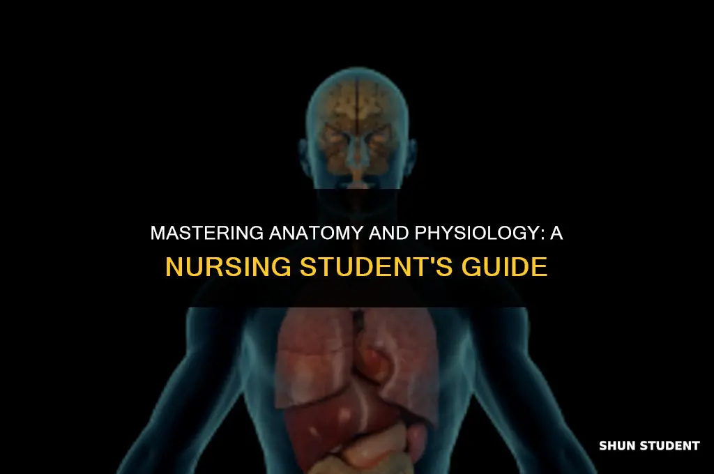 how to study anatomy and physiology for nursing students