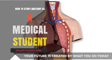 Mastering Anatomy: A Medical Student's Guide to Effective Study Strategies