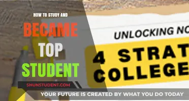 Mastering the Art of Study: A Guide to Academic Excellence