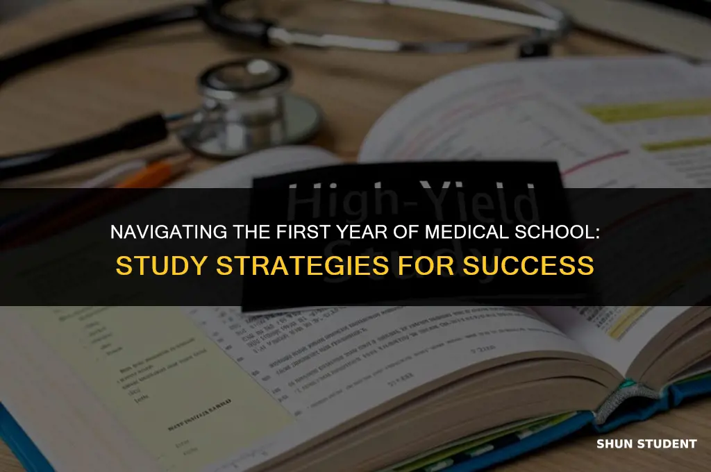 how to study as a first year medical student