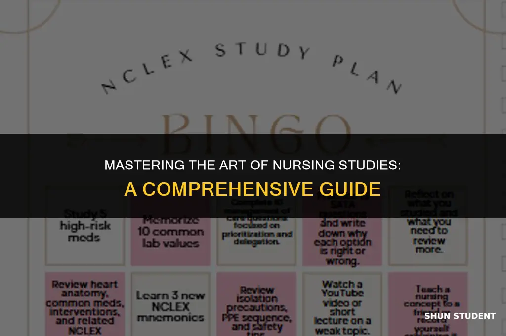 how to study as a nursing student