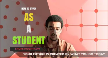 Mastering the Art of Studying: A Student's Guide to Success