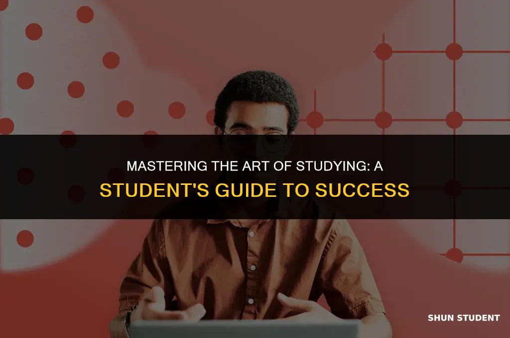 how to study as a student