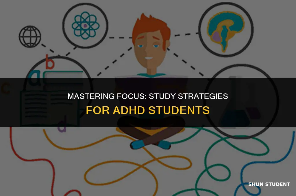 how to study as an adhd student