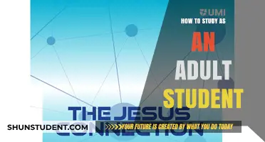 Mastering the Art of Studying: A Guide for Adult Learners
