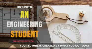 Mastering the Art of Engineering Studies: A Comprehensive Guide