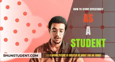 Mastering the Art of Effective Study: A Student's Guide