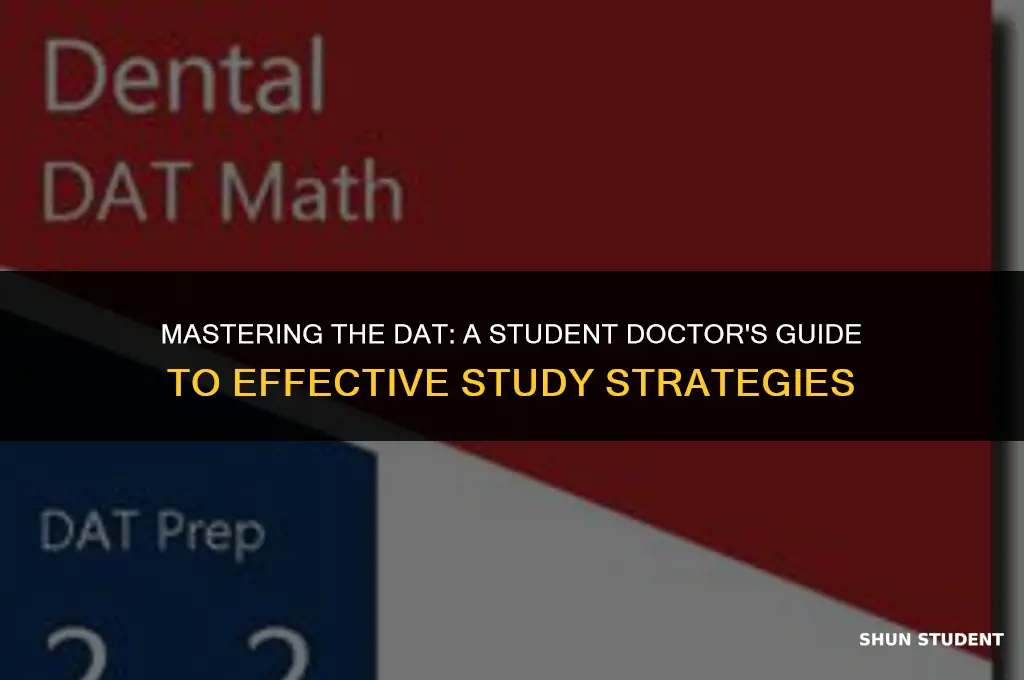 how to study for dat pat student doctor