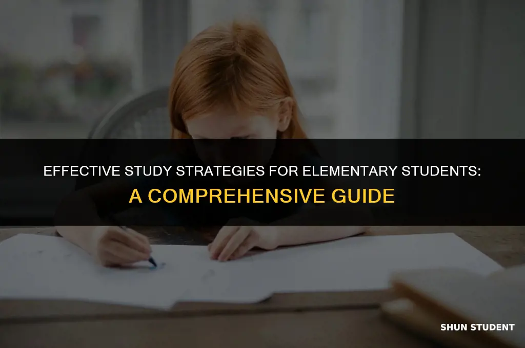 how to study for elementary students