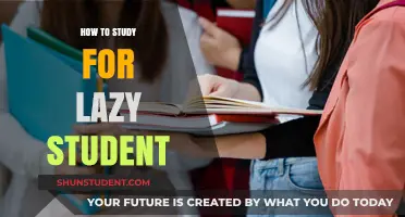 Mastering the Art of Studying: A Guide for the Laid-Back Learner