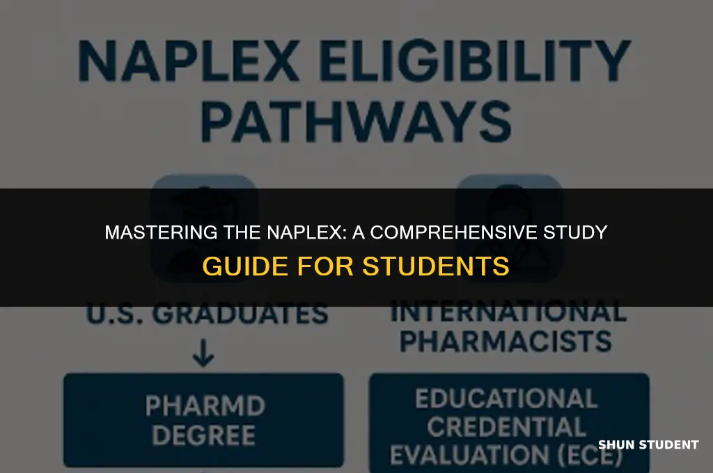 how to study for naplex exam student guide