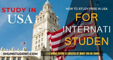 Study in the USA for Free: International Student Guide