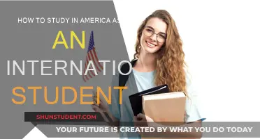 Study in the USA: A Guide for International Students