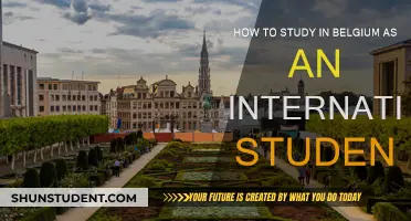 Study in Belgium: A Guide for International Students