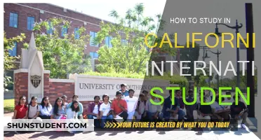 Study in California: A Guide for International Students