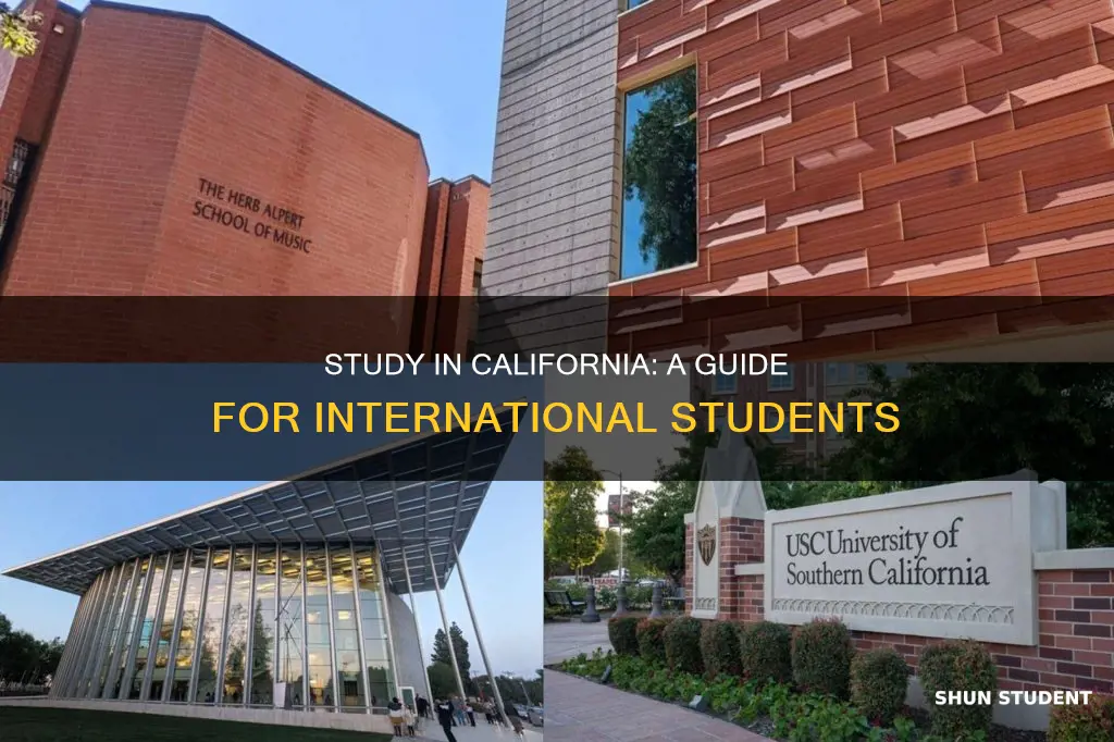 how to study in california international students