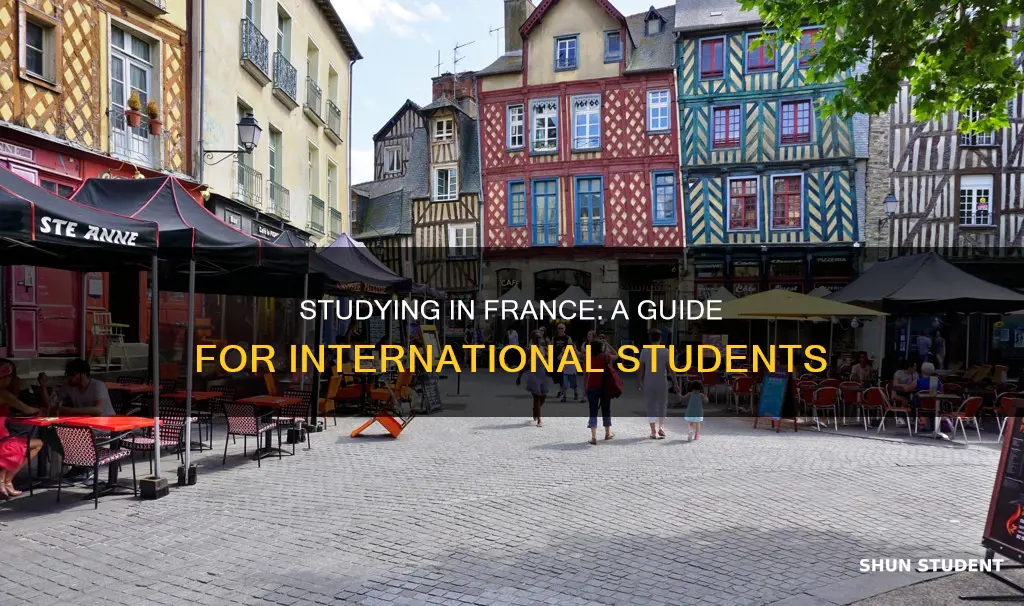how to study in france as an international student