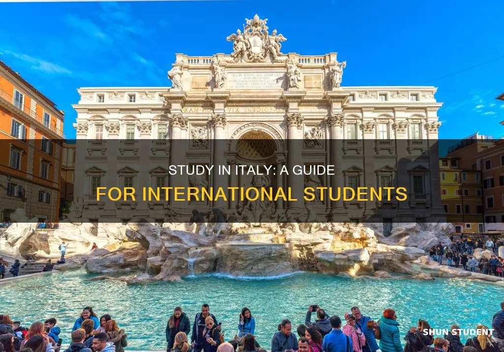 how to study in italy as an international student