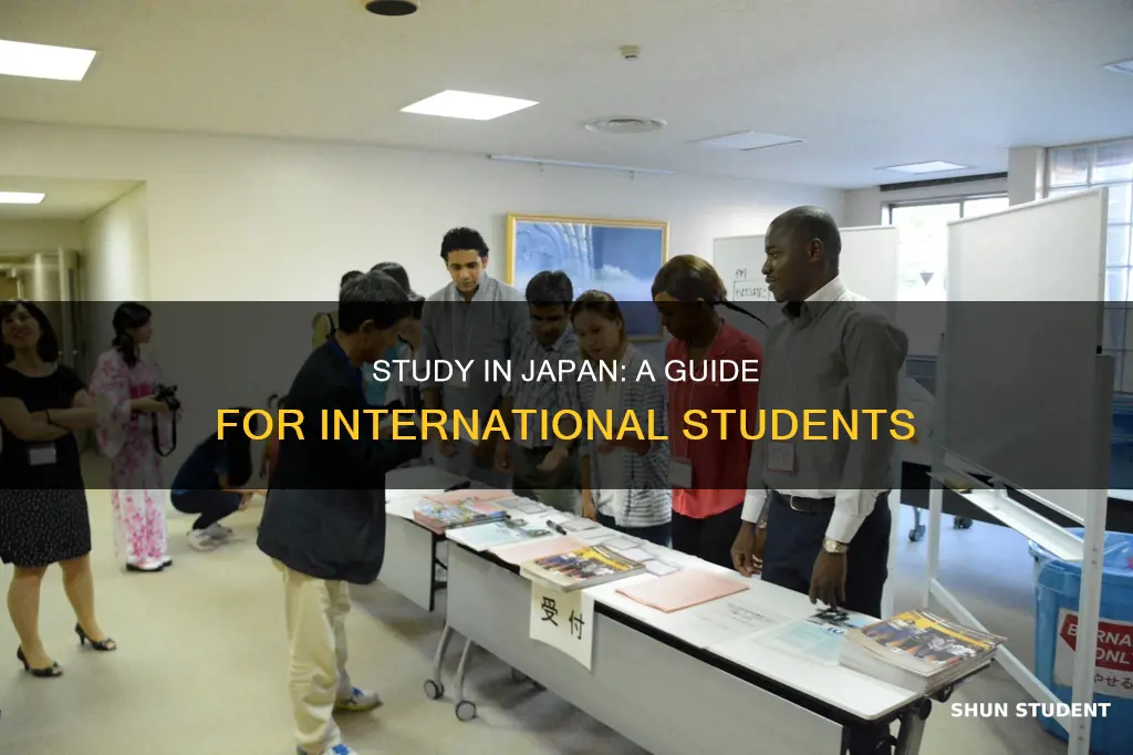 how to study in japan as an international student