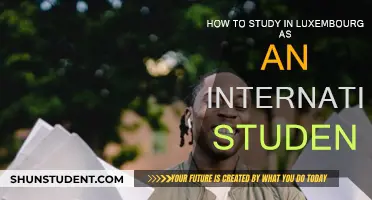 Study in Luxembourg: A Guide for International Students