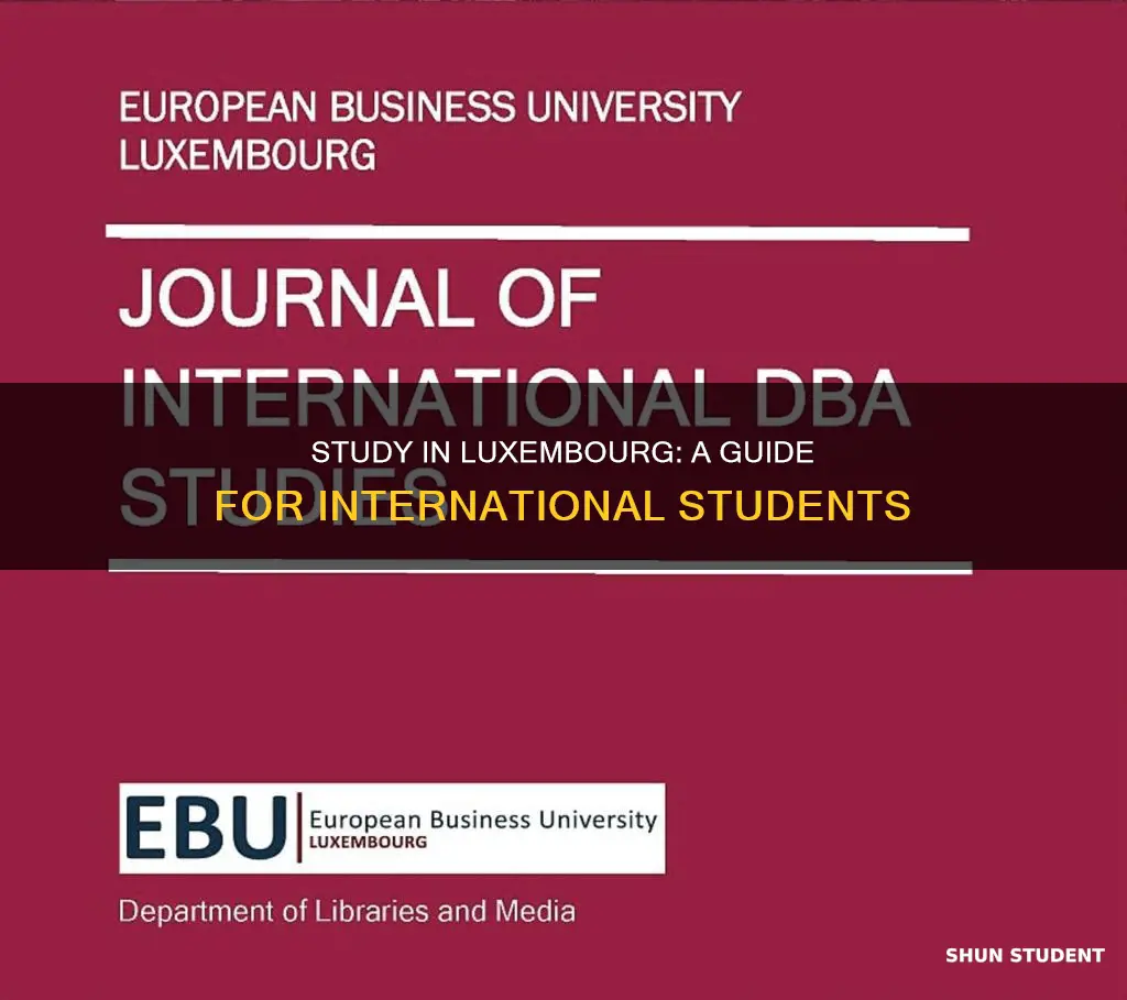 how to study in luxembourg as an international student