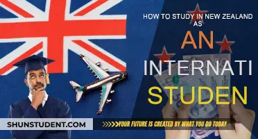 Study in New Zealand: A Guide for International Students
