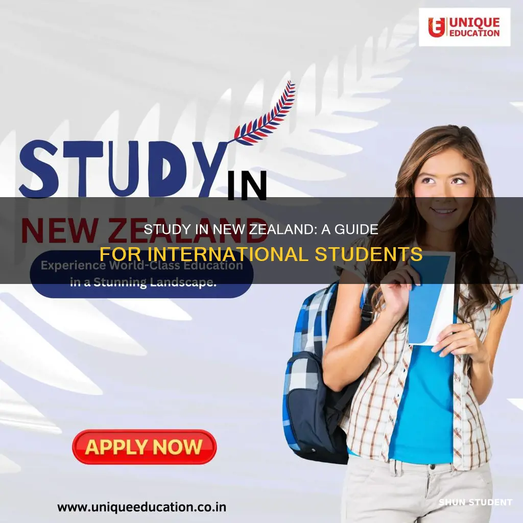 how to study in new zealand as an international student