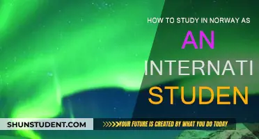 Study in Norway: A Guide for International Students