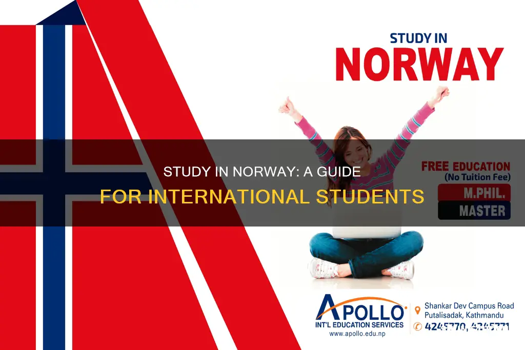 how to study in norway as an international student