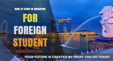 Unlocking Opportunities: A Guide to Studying in Singapore as a Foreign Student