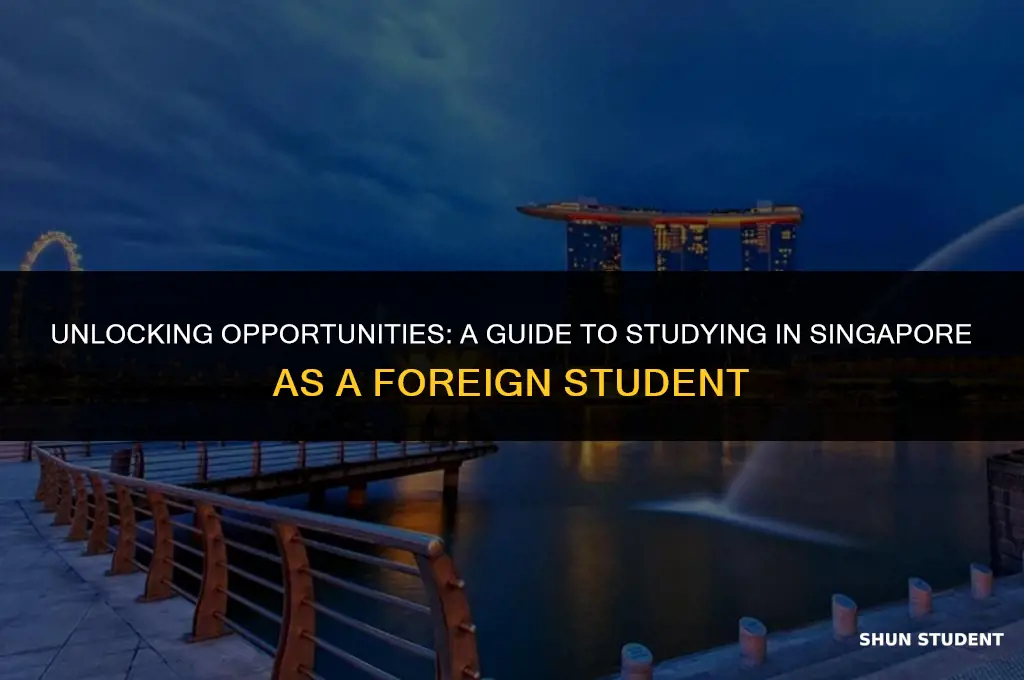 how to study in singapore for foreign student