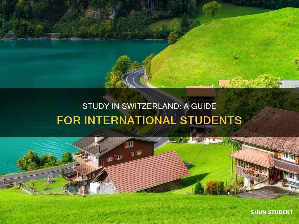 how to study in switzerland as an international student