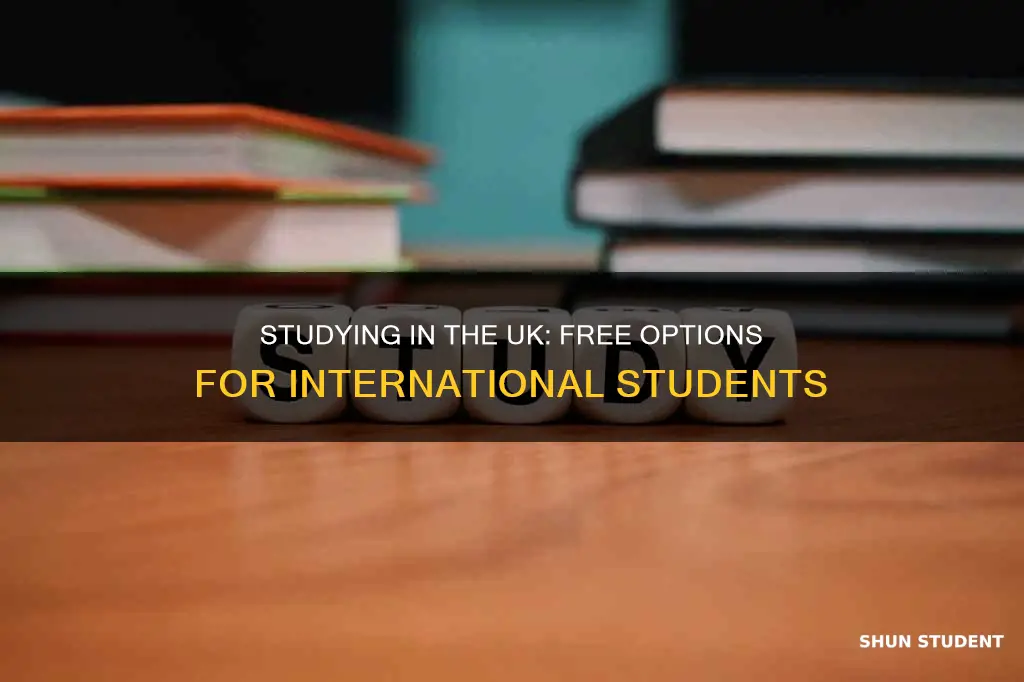 how to study in uk for free for international students