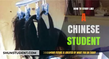 Mastering the Art of Study: Secrets from Chinese Students